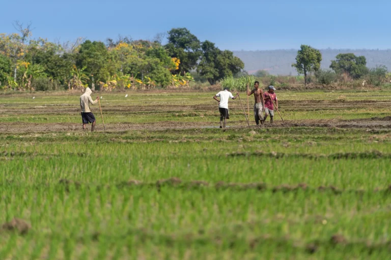 Progress on site studies and technical assessments