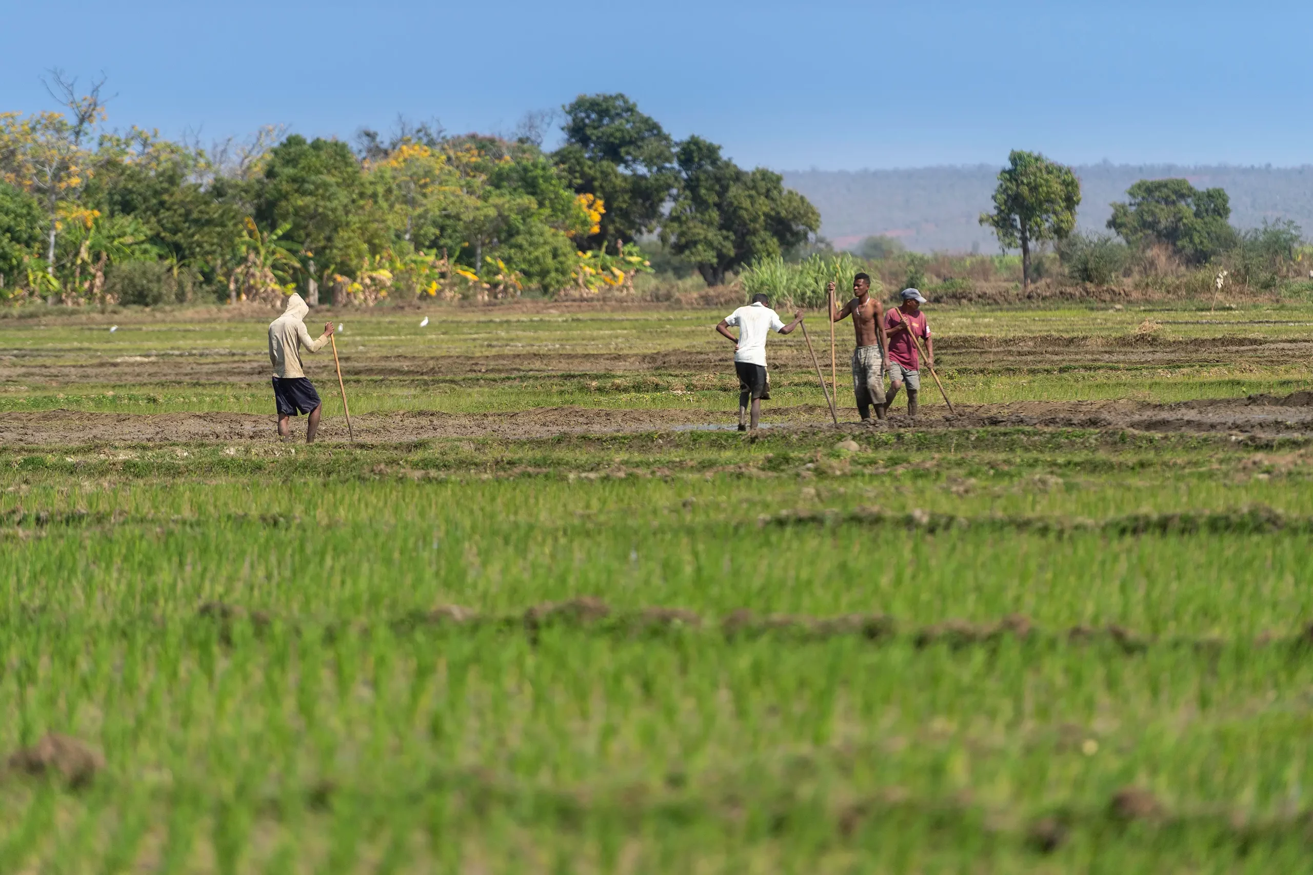 Progress on site studies and technical assessments